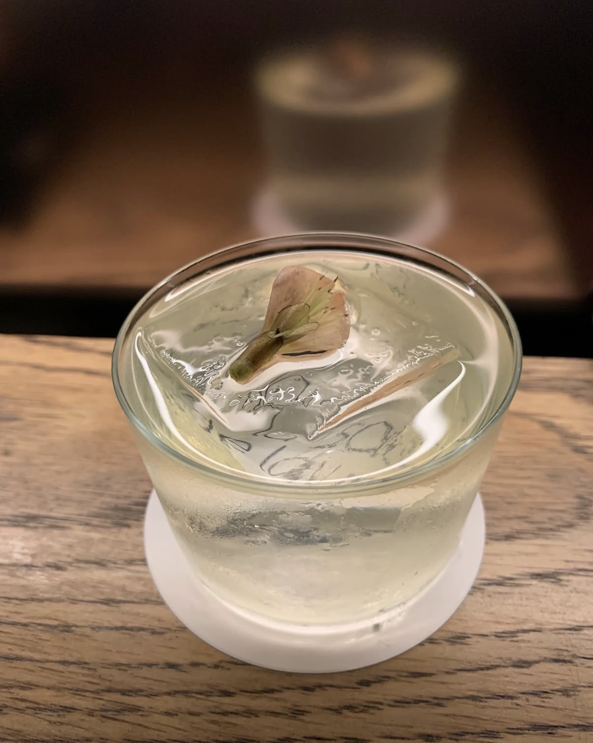 Clear cocktail over a large ice cube with a single flower garnish, on a white coaster on a wooden bar